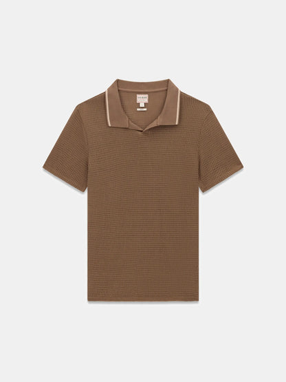 Brown Shitake