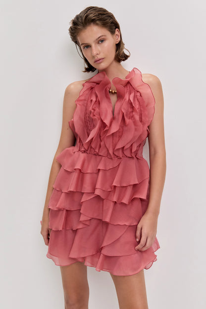 SPICED CORAL