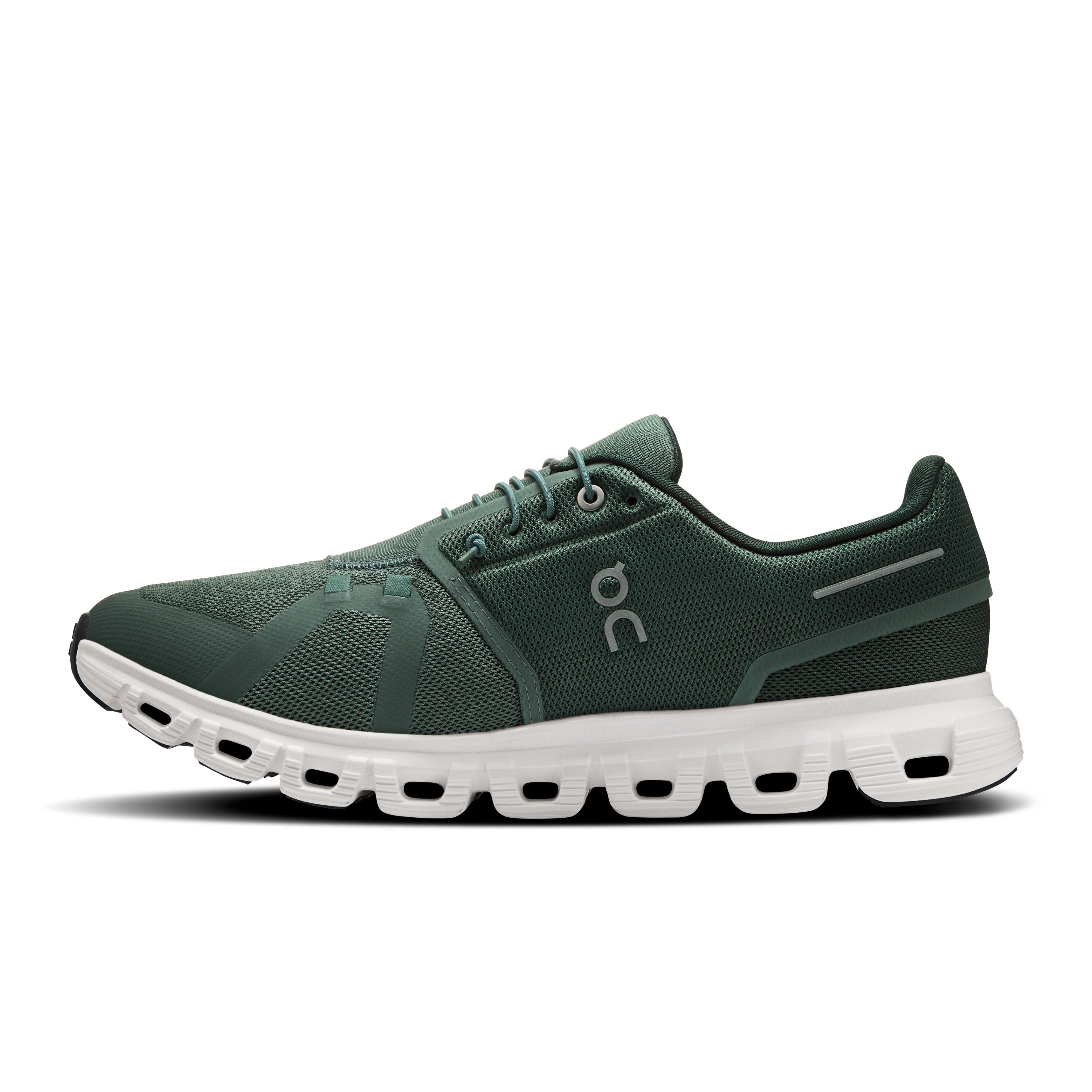 Olive | Evergreen