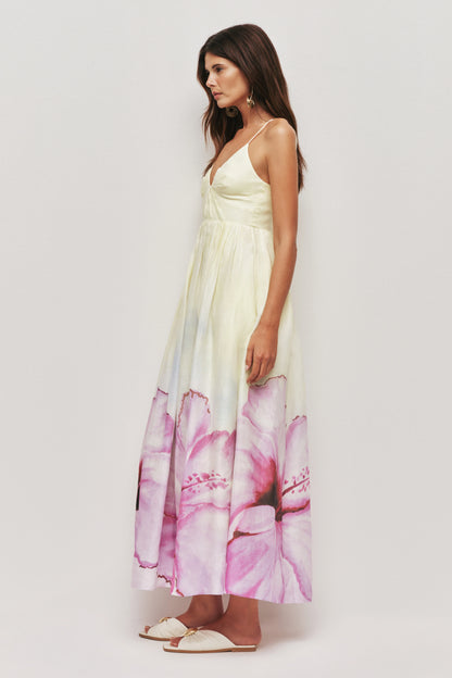 OMBRE HIBISCUS
