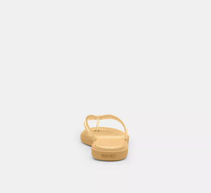 Vanilla