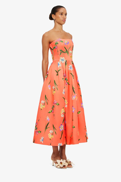 Wild Flower in Coral