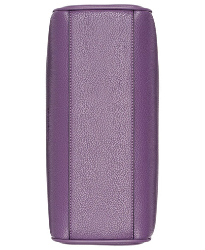 Winter Plum