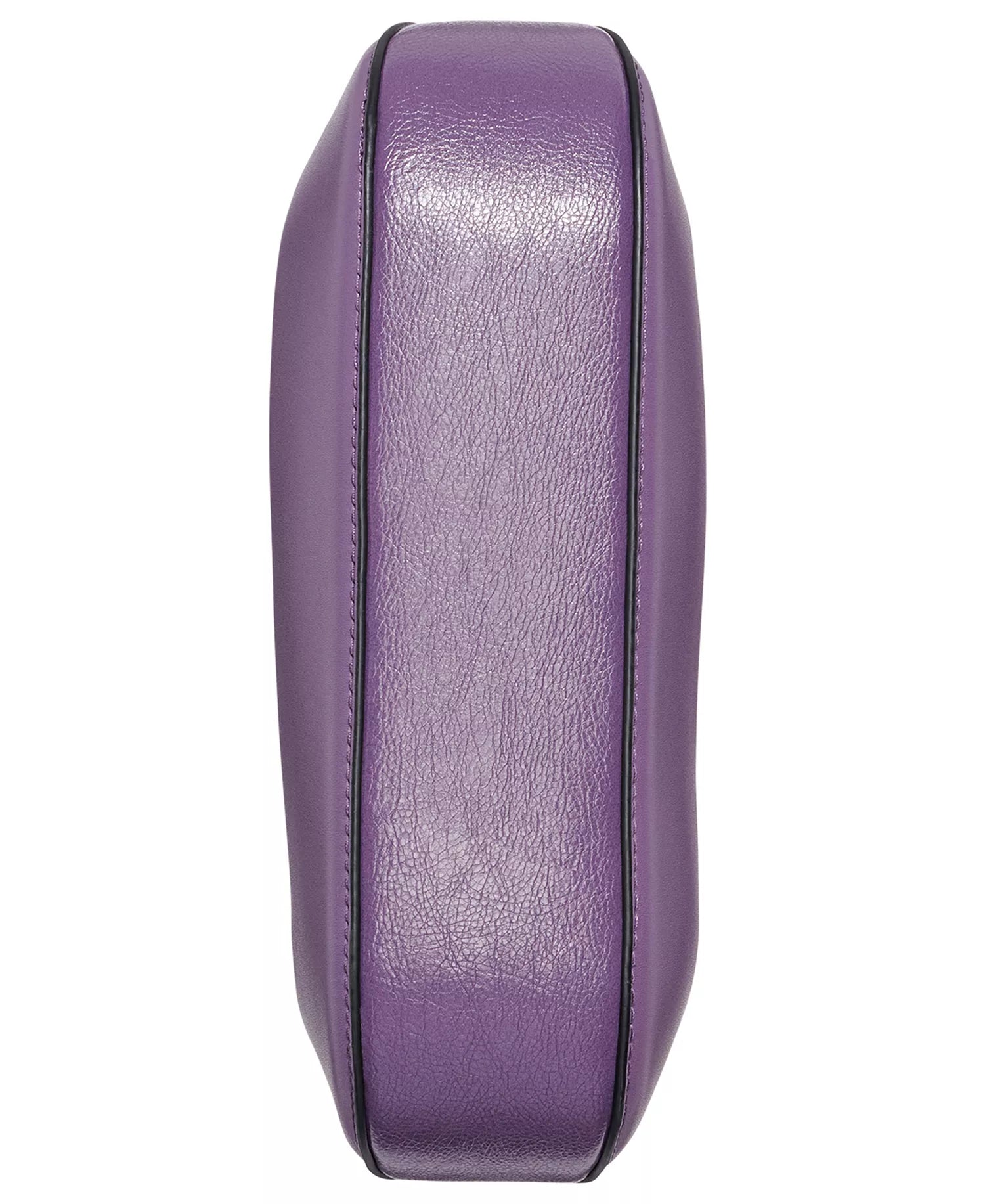 Winter Plum