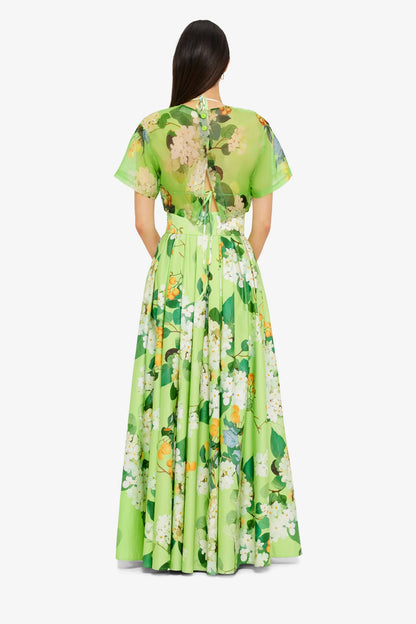 Hydrangea in Lime