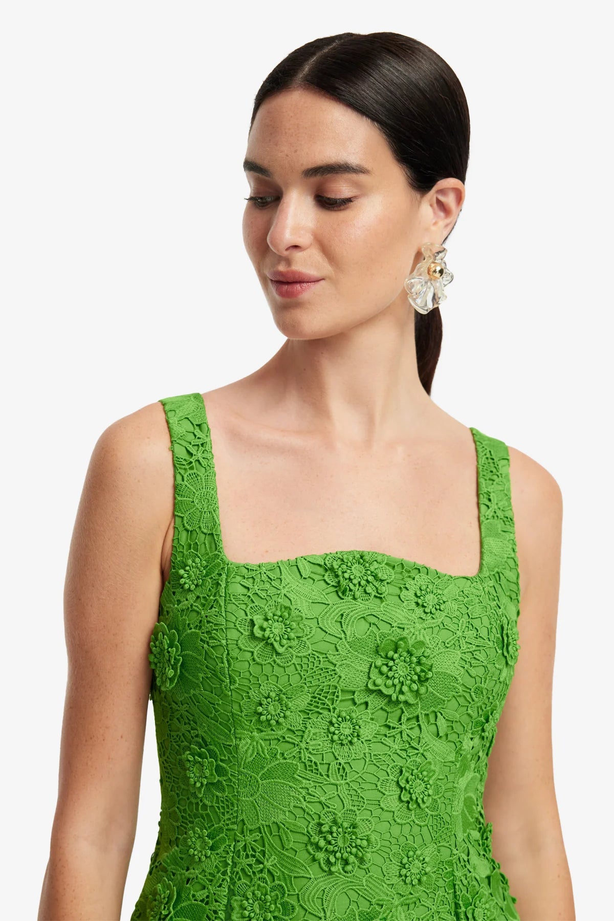 Fern