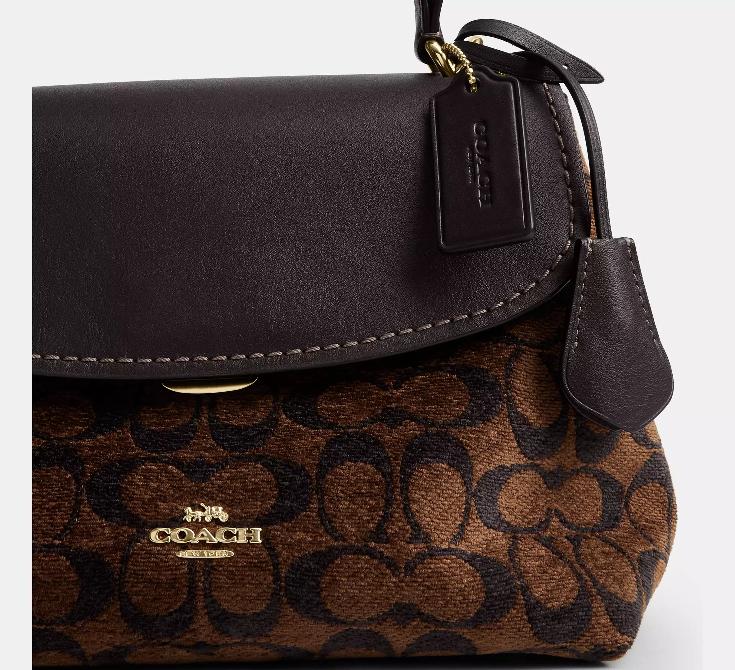 Gold/Truffle