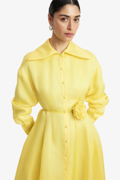 Limoncello