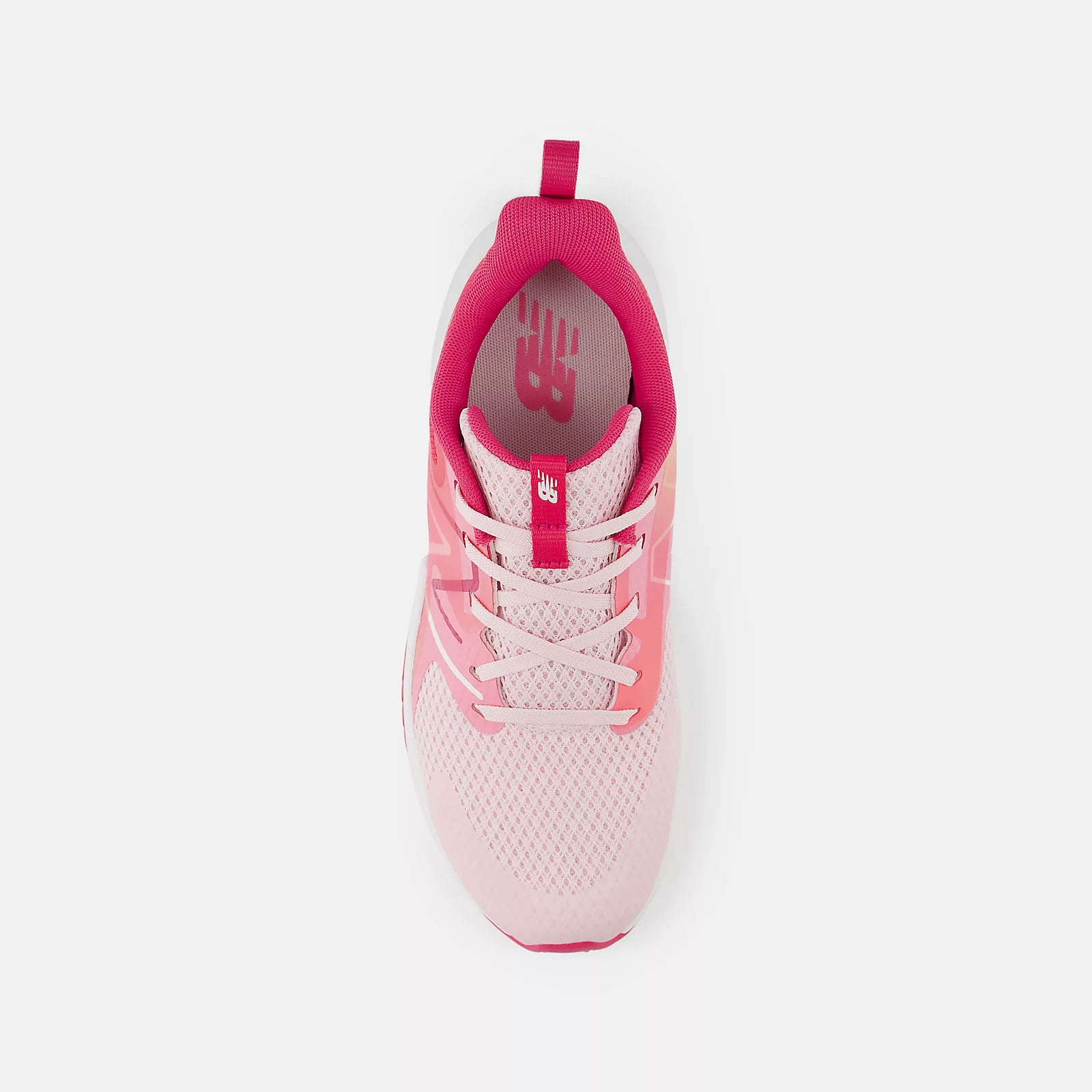 Rose Sugar With Carnival Pink And Signal Pink