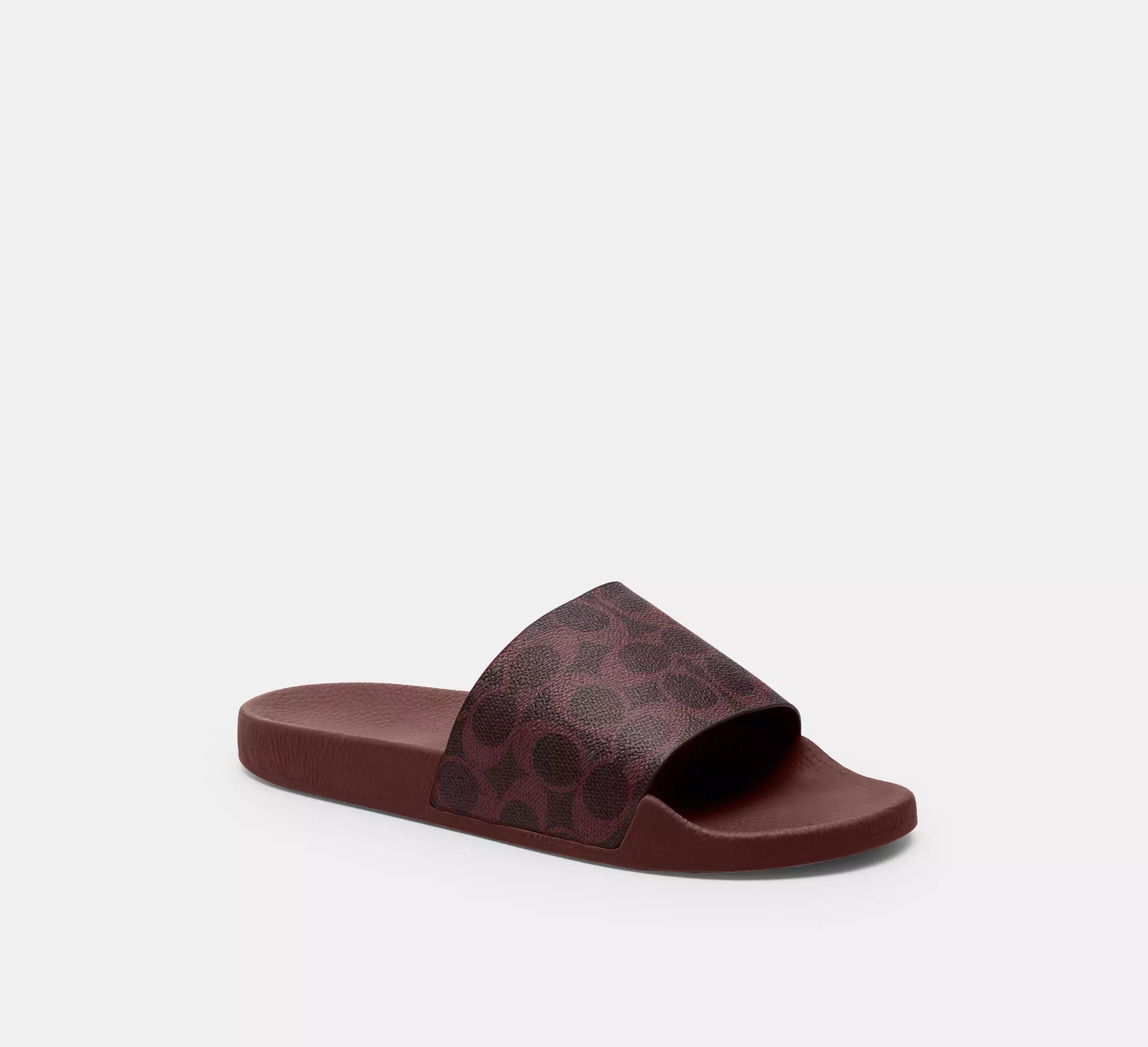 Black Currant