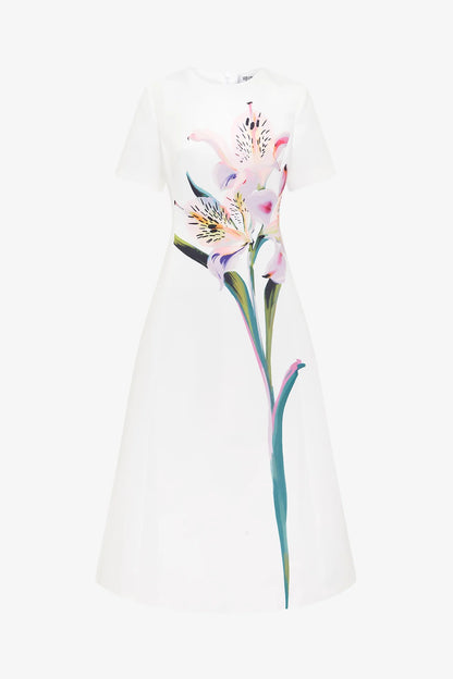 Lily Print in Snow