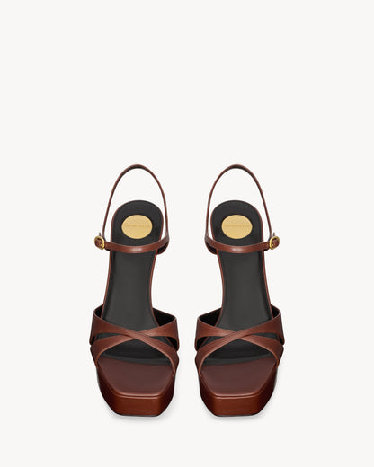 Aesthetic Brown