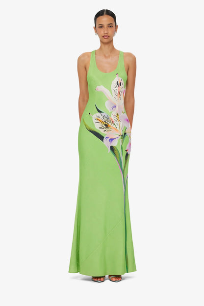 Lily Print in Parakeet