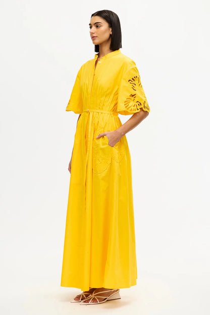 Daffodil