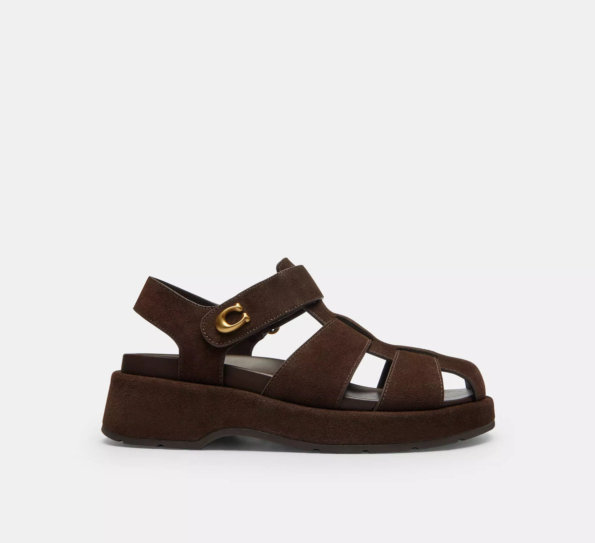 Chocolate Brown
