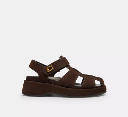 Chocolate Brown