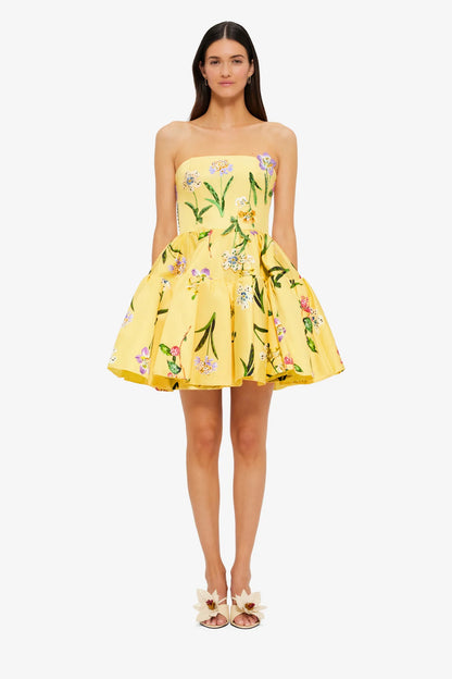 Wild Flower in Sorbet