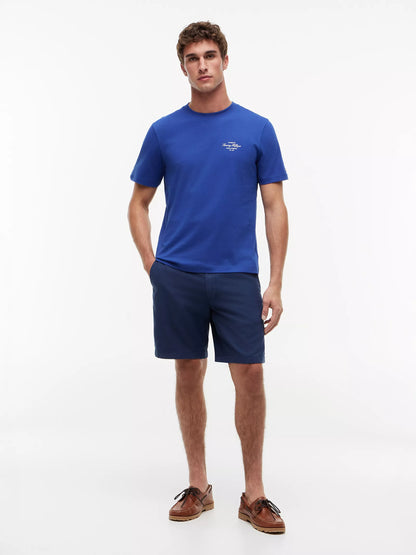 Pigment Blue