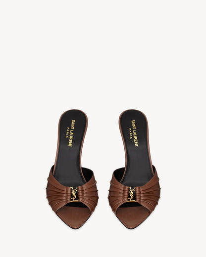 Aesthetic Brown