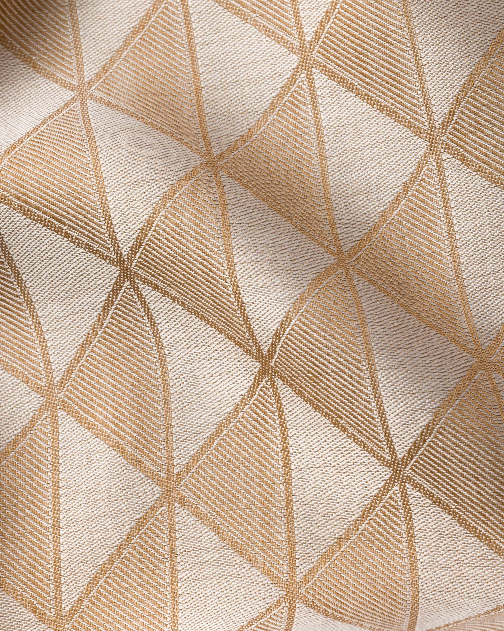 Beige cámel/Blanco tiza