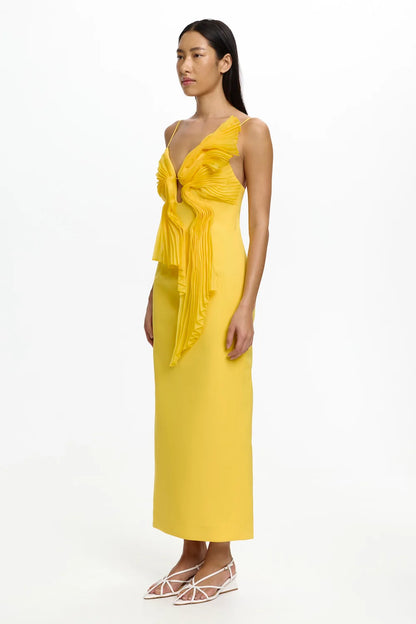 Daffodil
