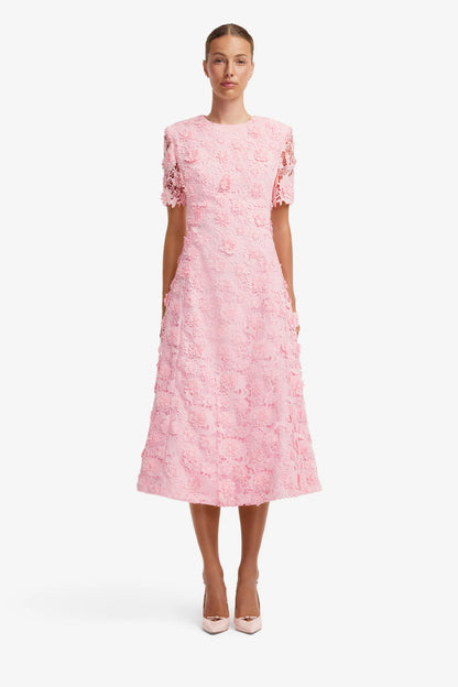 Blush Pink