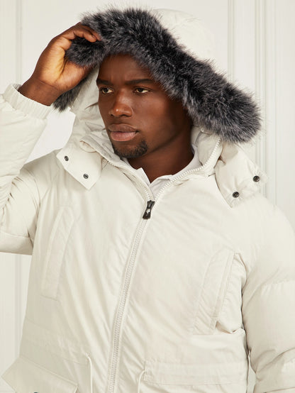 Snow Wolf Grey