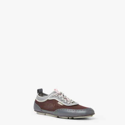 Multicolor