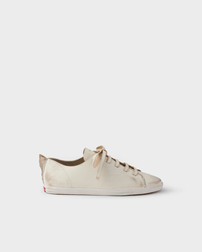Blanco Calizo