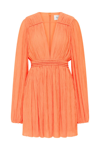 APRICOT