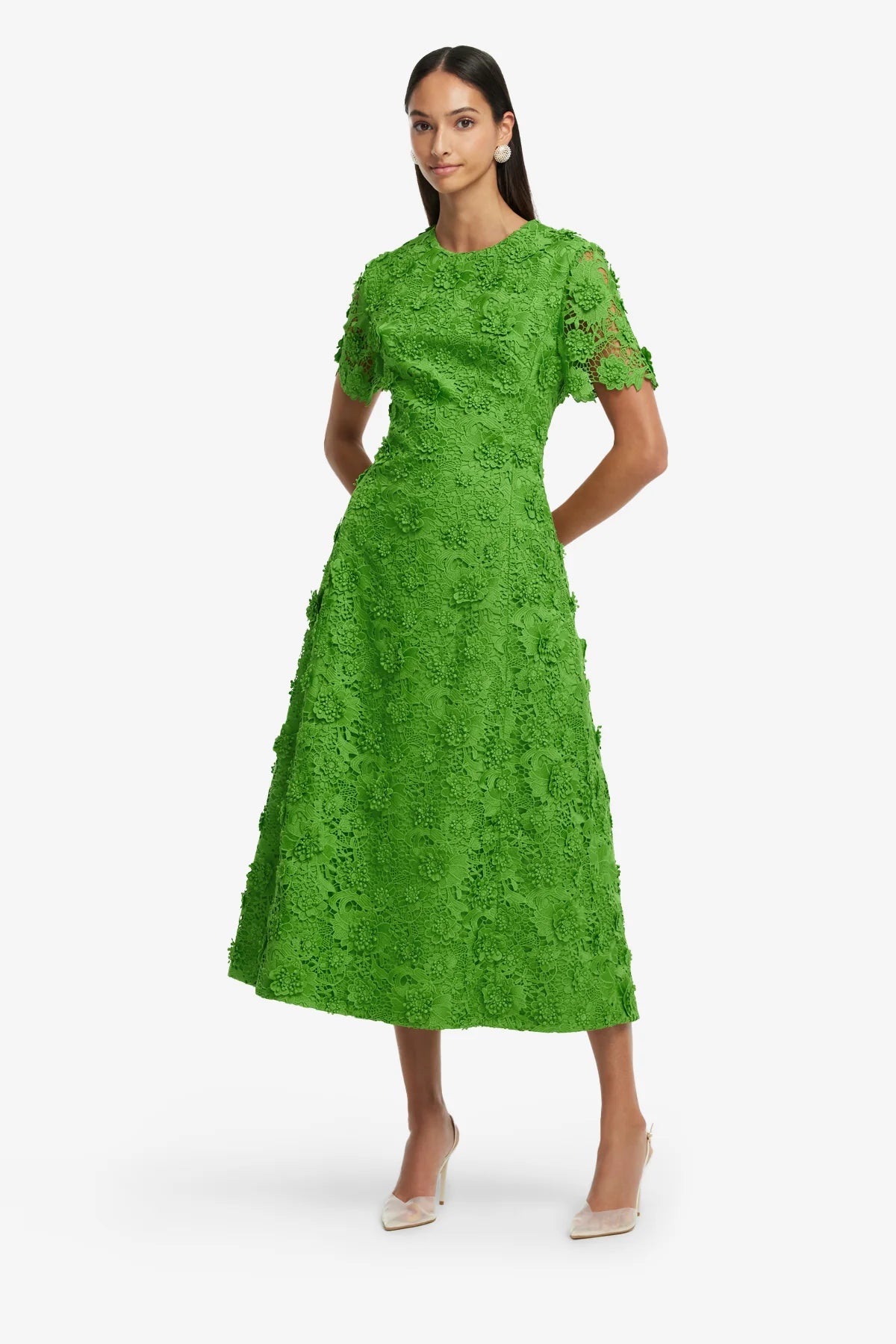 Fern
