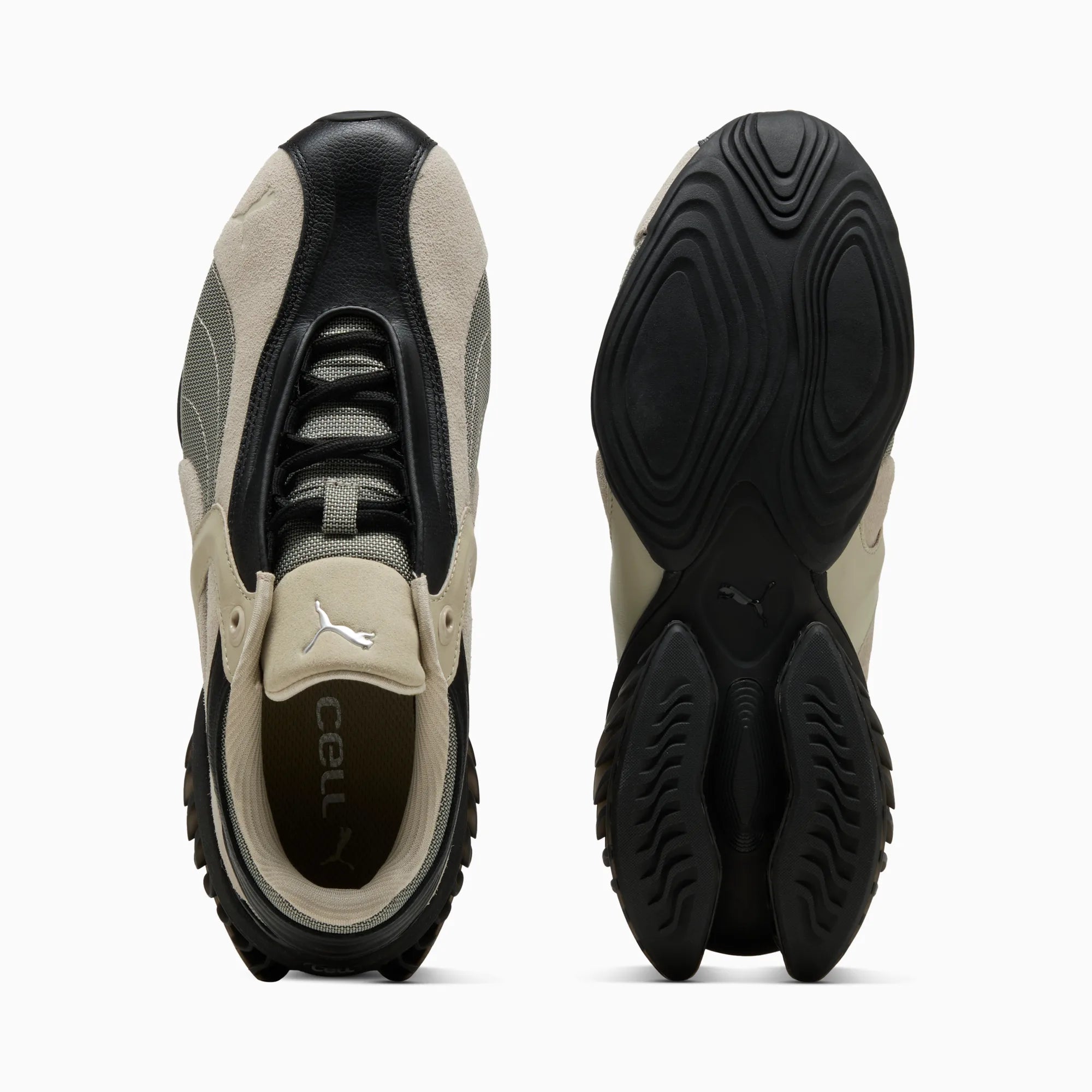 PUMA Black-Birch Tree
