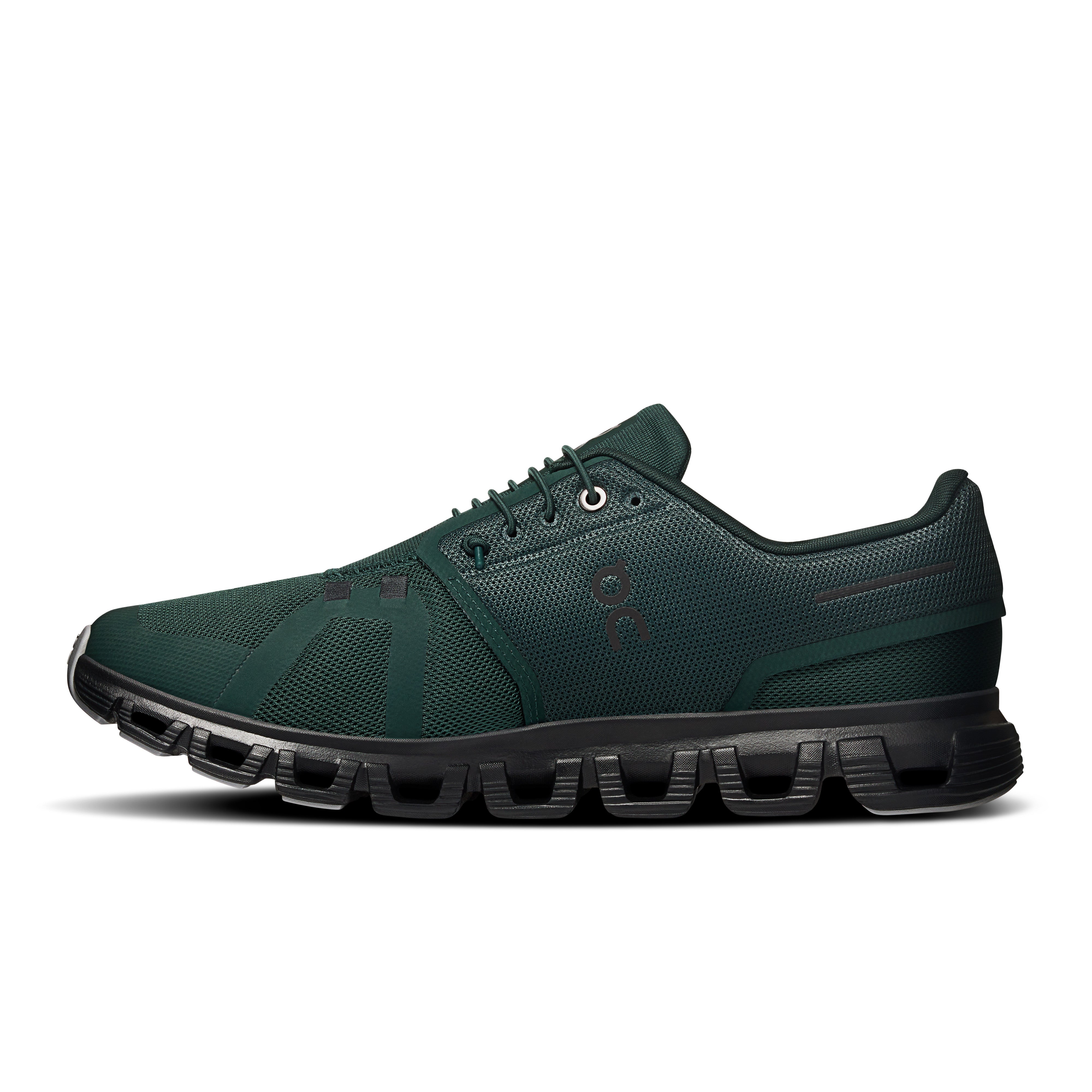 Evergreen | Glacier