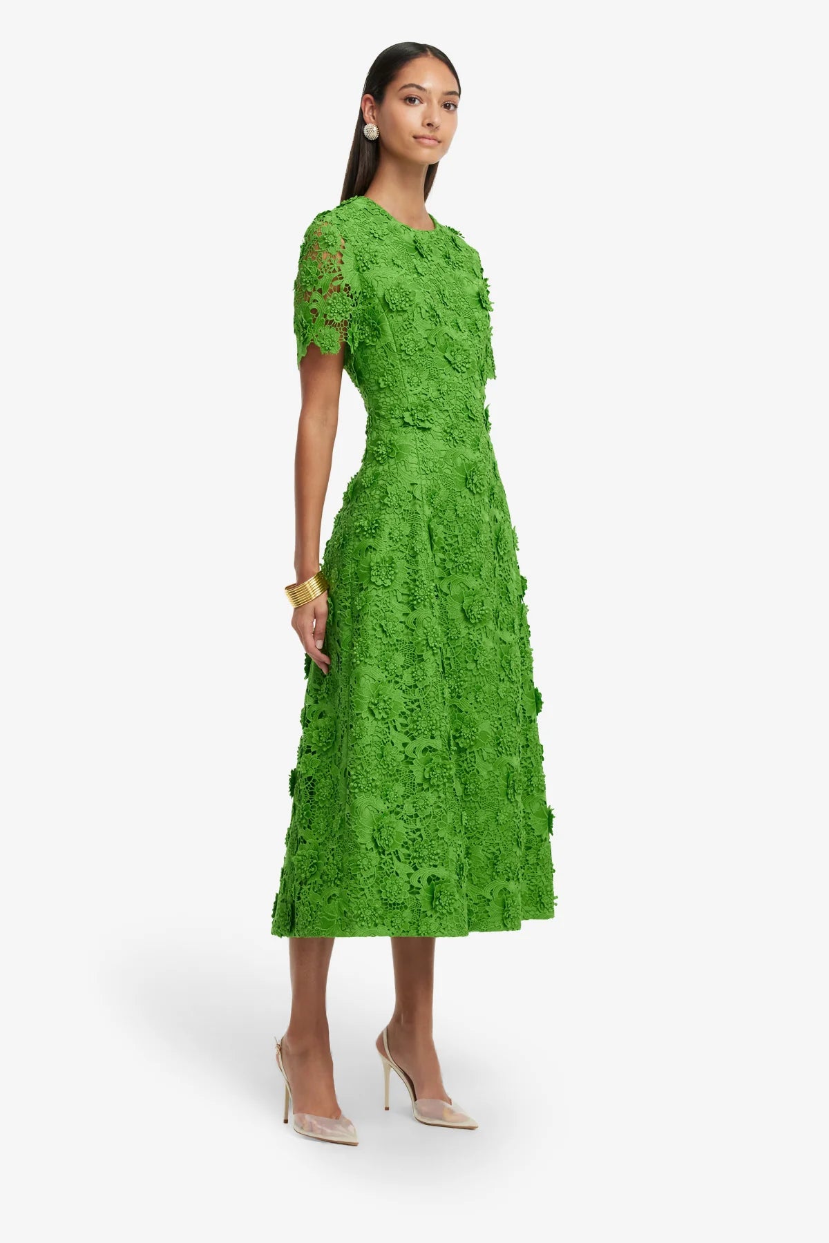 Fern