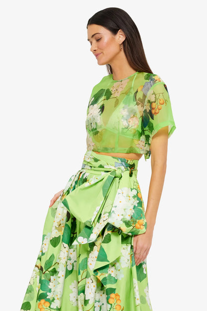 Hydrangea in Lime