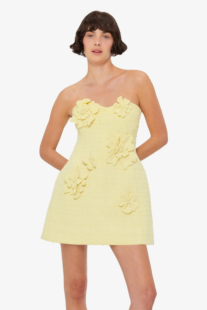 Sorbet Yellow 2