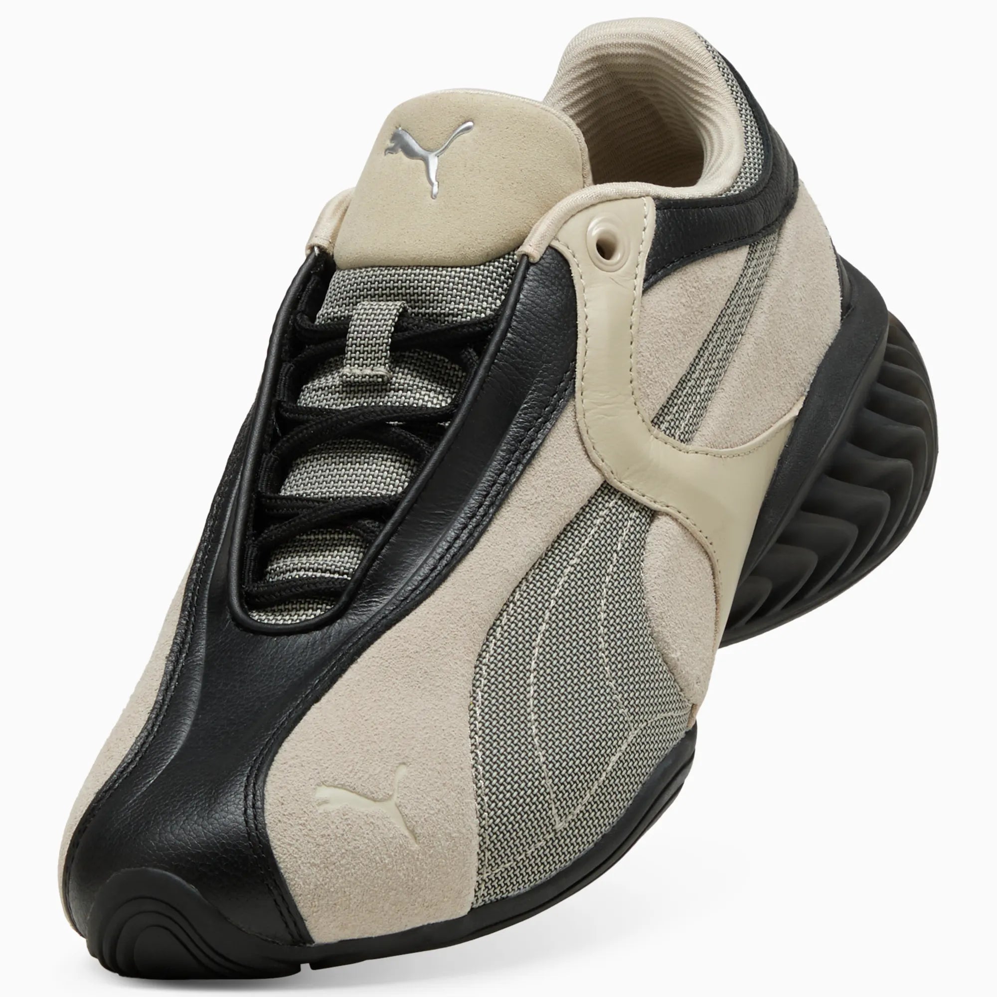 PUMA Black-Birch Tree