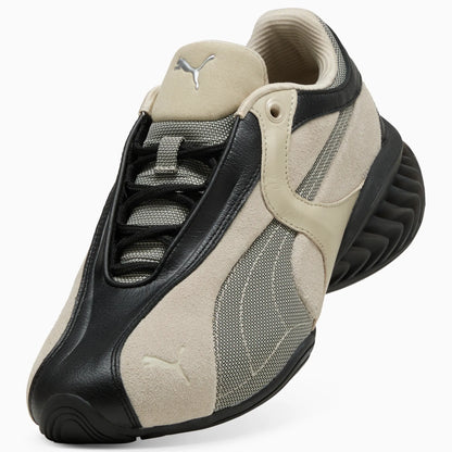 PUMA Black-Birch Tree