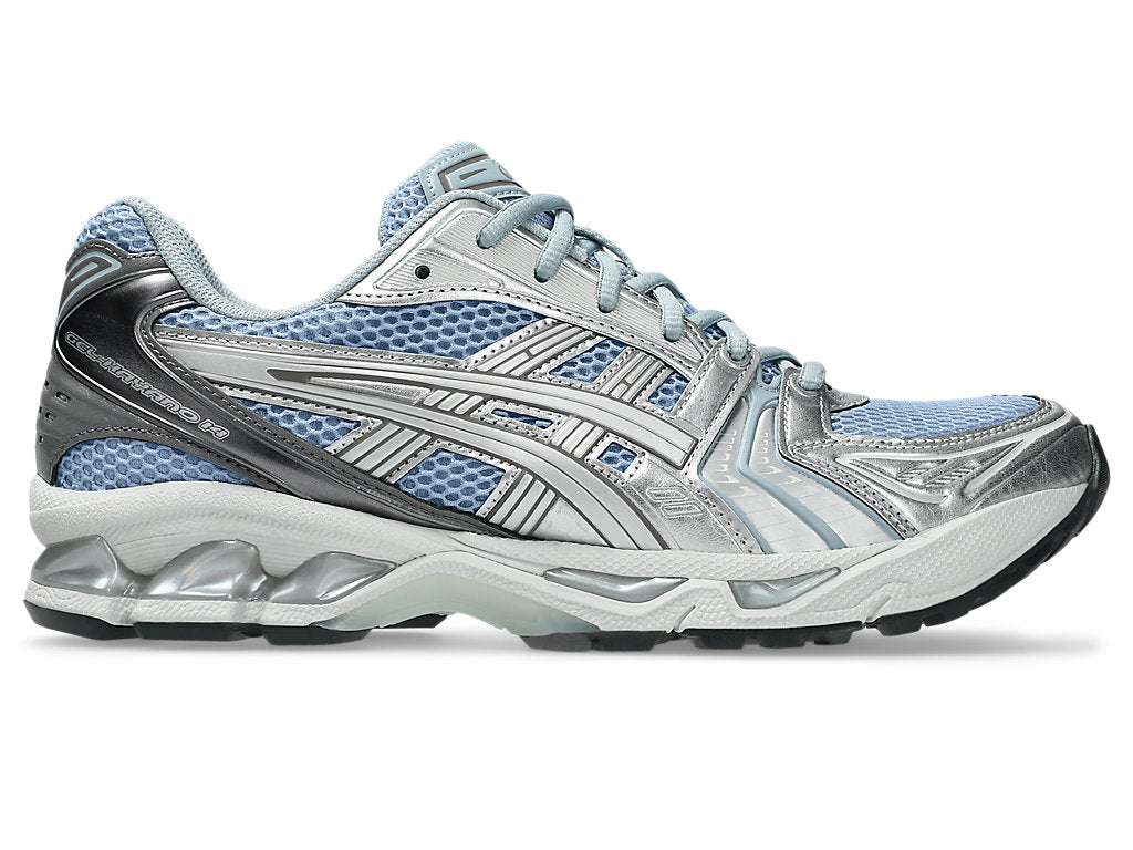 Dolphin Grey/Pure Silver