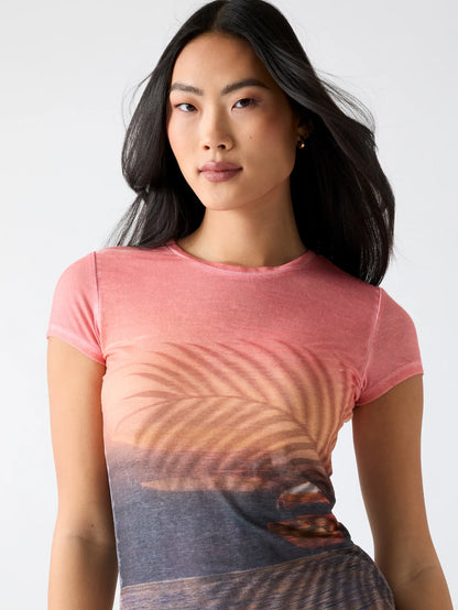Peach Coral Multi