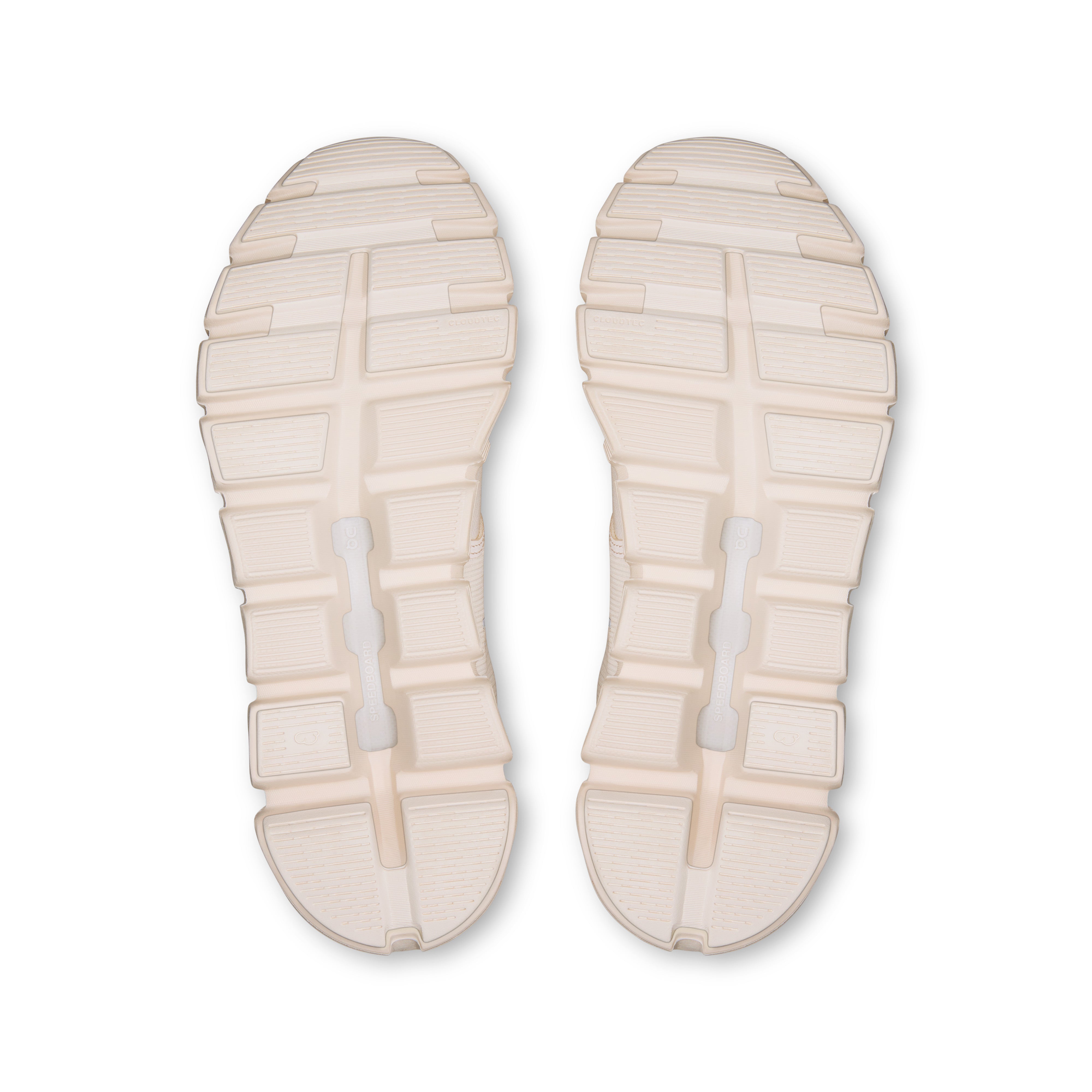 Seashell | Seashell