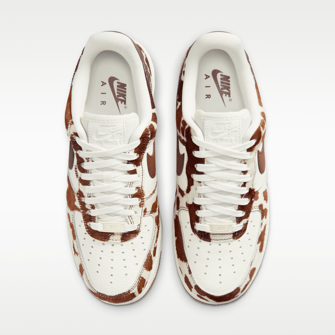 Field Brown/Field Brown/Gum Medium Brown/Sail