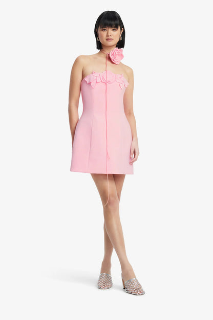 Blush Pink