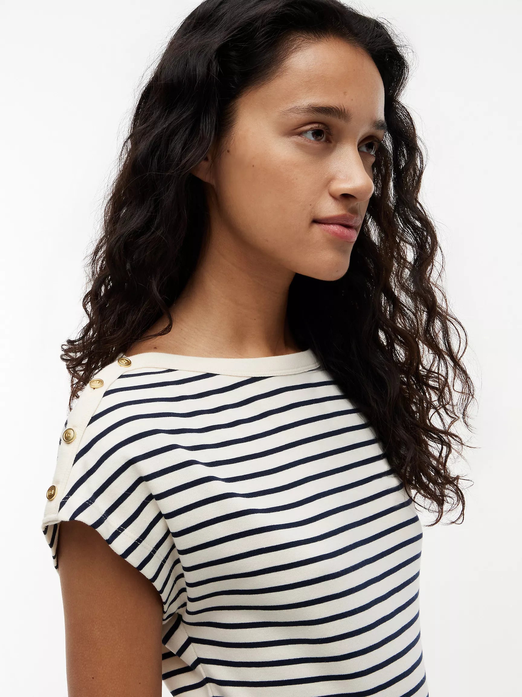 Calico / Navy Blue Stripe