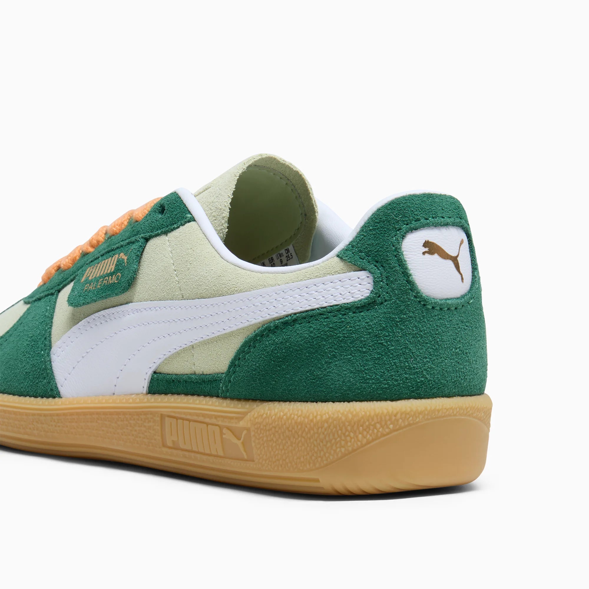 Pistachio Green-Vine-Gum