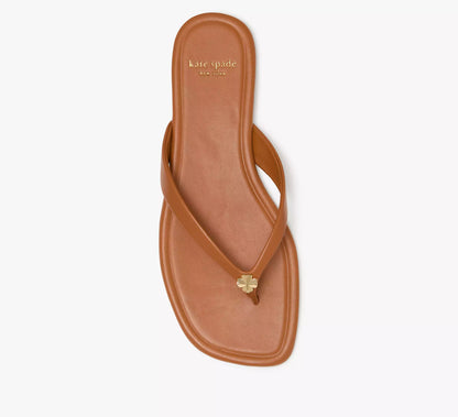 Saddle