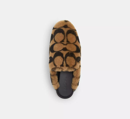 Coconut
