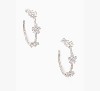 Clear/Silver