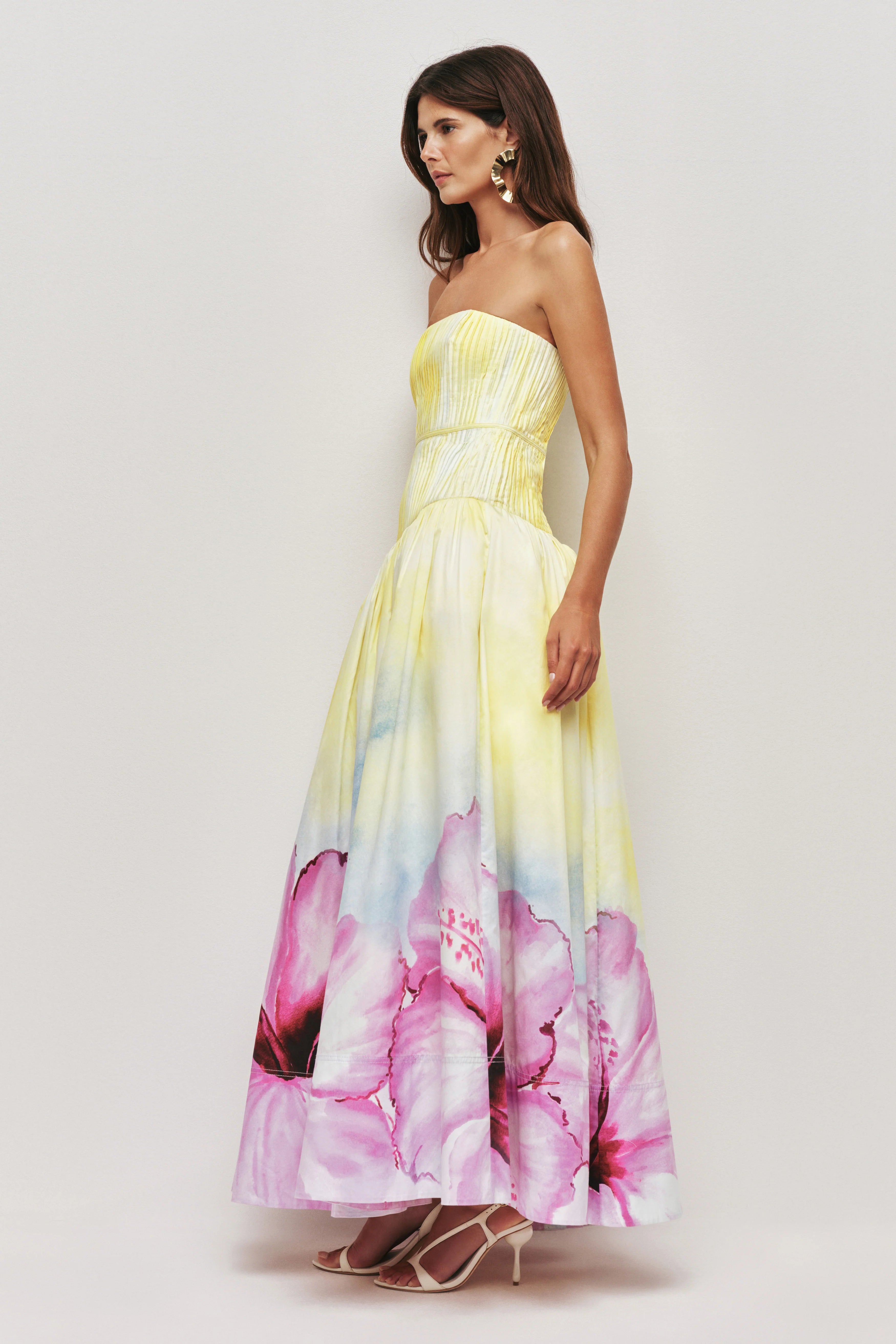OMBRE HIBISCUS