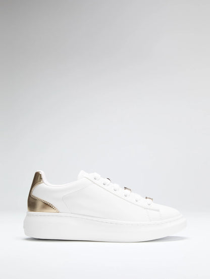 White 144